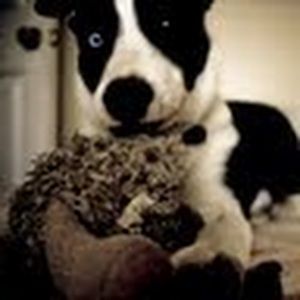 Meet your Posher, Jenay